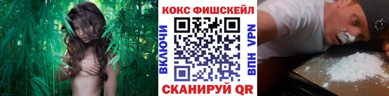 как найти наркотики  Кисловодск  Кокаин Перу 