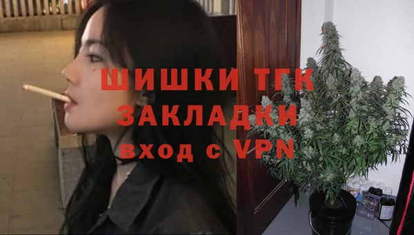 сатива Вязники