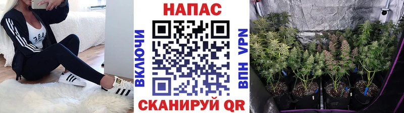 купить  цена  Кисловодск  Канабис White Widow 